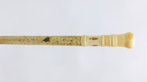 Scrimshaw Walking Stick