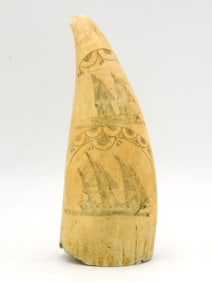 Scrimshaw Whale's Tooth