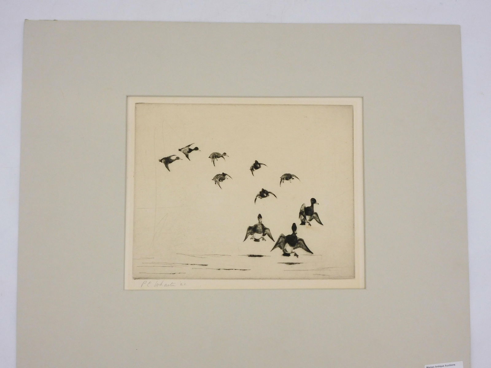 P.C. Wharton Drypoint Etching: (American, b. 1880). "Ascending Ducks, 1922". Signed in pencil lower left. Plate size 8" high x 9 3/4" wide. Sheet size: 12" high x 15" wide.