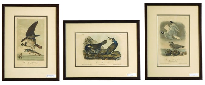 (3) John James Audubon Colored Lithographs