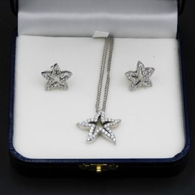 Starfish Design Necklace and Matching Earrings