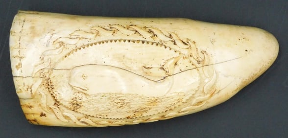 Scrimshaw Whale's Tooth