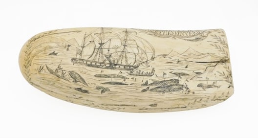 Engraved Scrimshaw Tooth