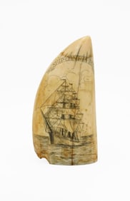 Scrimshaw Whale's Tooth