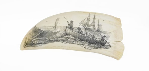 Scrimshaw Whale's Tooth