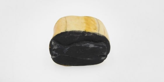 Scrimshaw Logbook Stamp