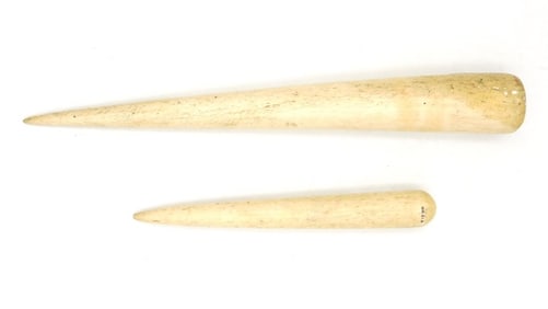 Scrimshaw (2) Panbone Fids