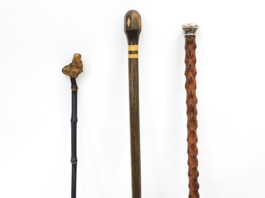 (3) Walking Sticks