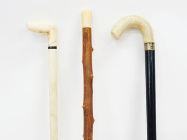 (3) Scrimshaw Canes