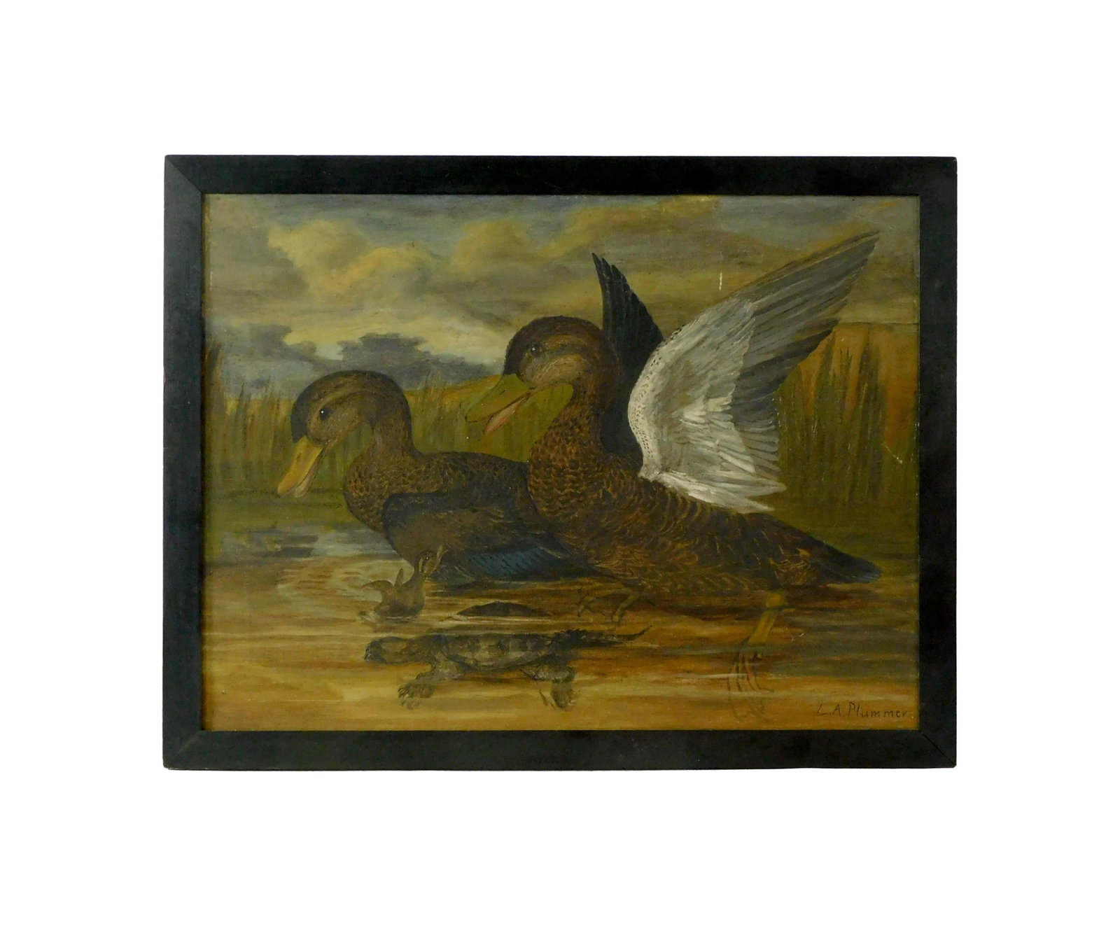 Leander Plummer Painting: (American/Massachusetts, 1857-1914). Oil on canvas. Depicts family of ducks and snapping turtle. Sighed L.A. Plummer lower right. Also signed in stretcher on verso. Sight size: 18" high x 24" wide.
