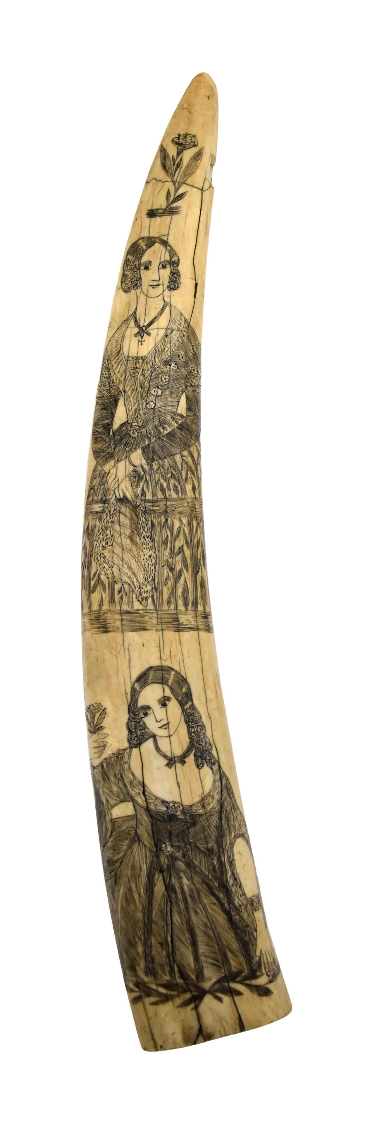 Polished Scrimshaw Tusk: 19th C. Depicts two Victorian women in fancy attire. Blank verso. 15 1/2" long x 2 1/2" wide. Repaired at top. Tip shows an area of loss and appears to have broken off completely at one point.
