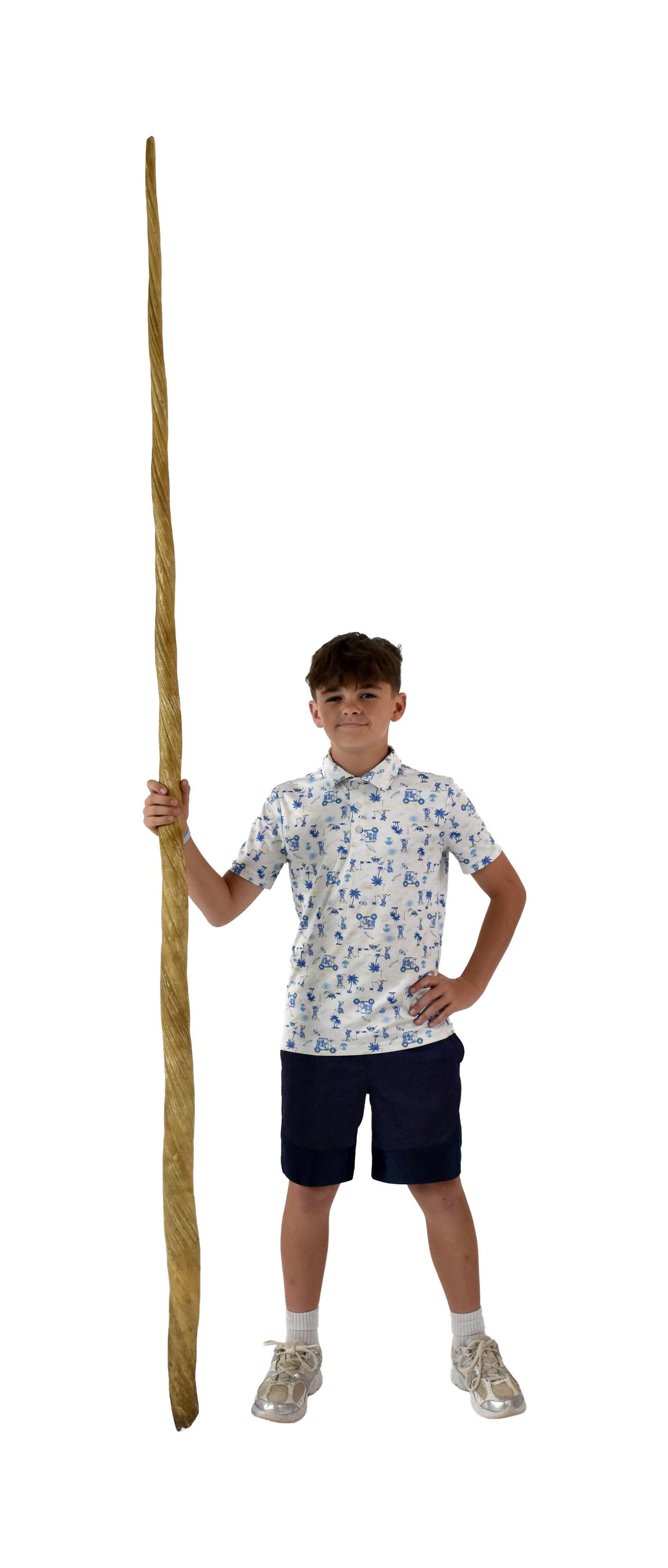 Monumental Narwhal Tusk (1 of 5)