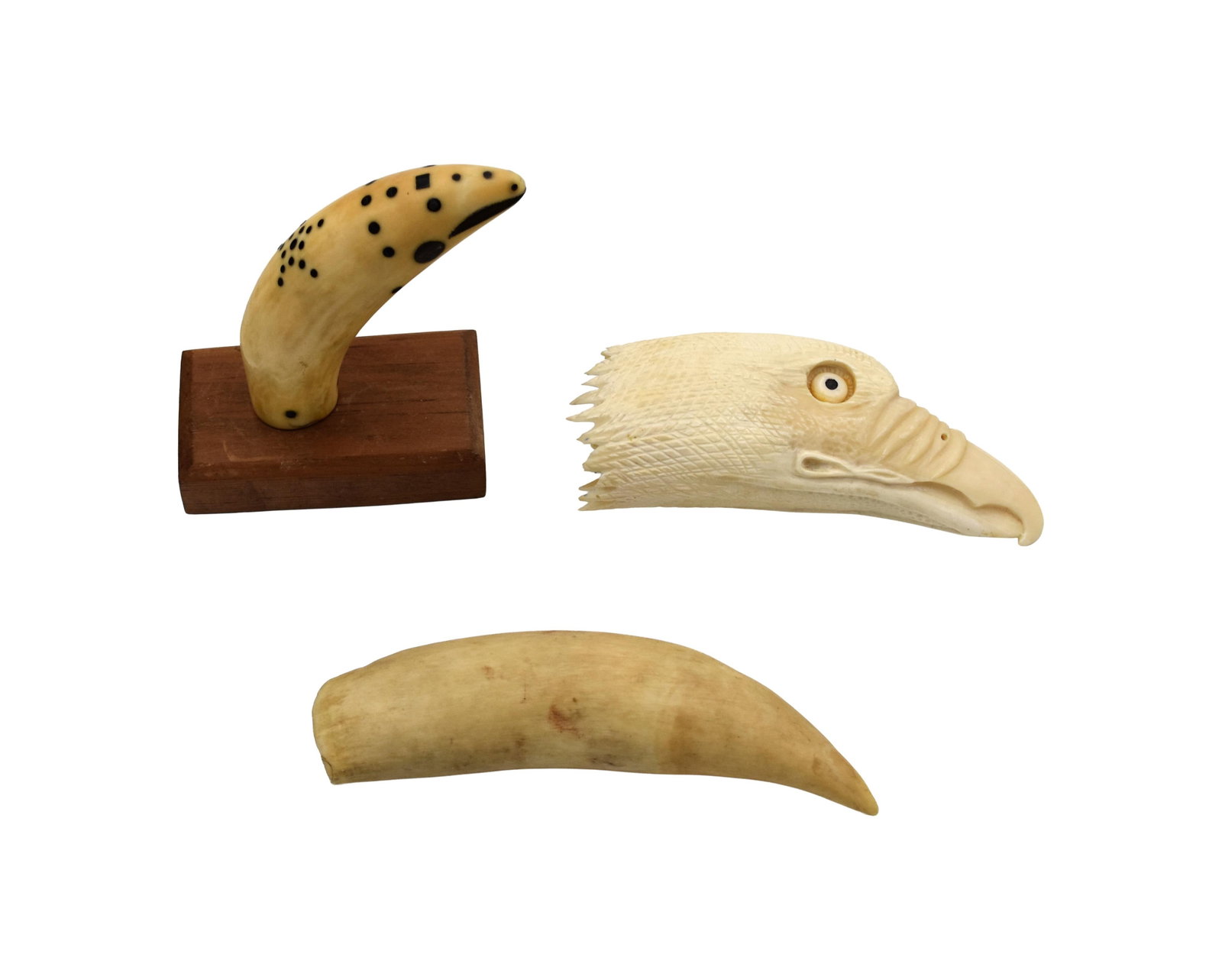 (3) Sperm Whale Teeth: 19th/20th C. To include: (A) Carved eagle's head in the manner of William Perry. 5 1/4" long. (B) Inlaid tooth in the form of a bird or fish head. Tooth: 4 1/4" long. Mounted on a wooden base.