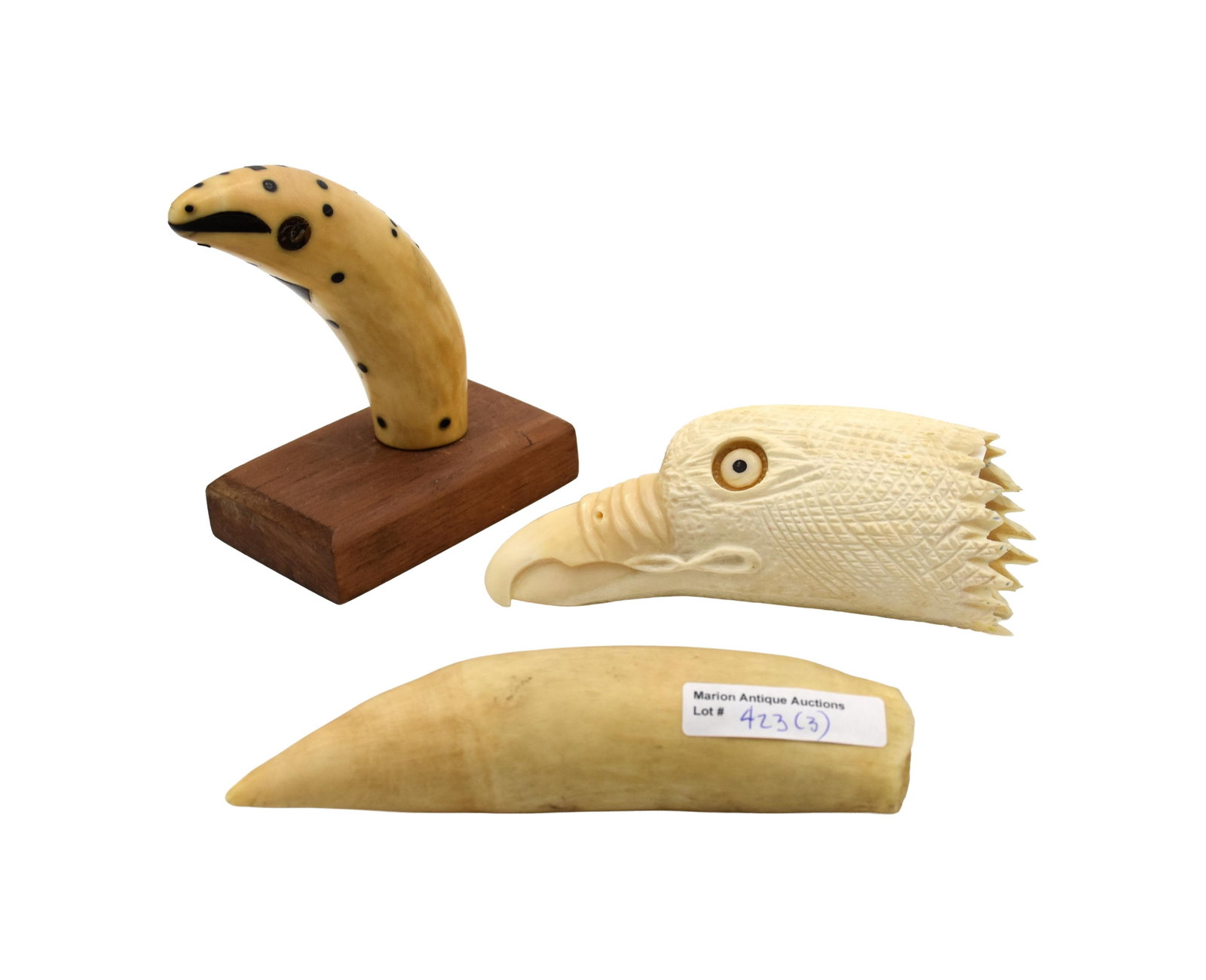(3) Sperm Whale Teeth - 2