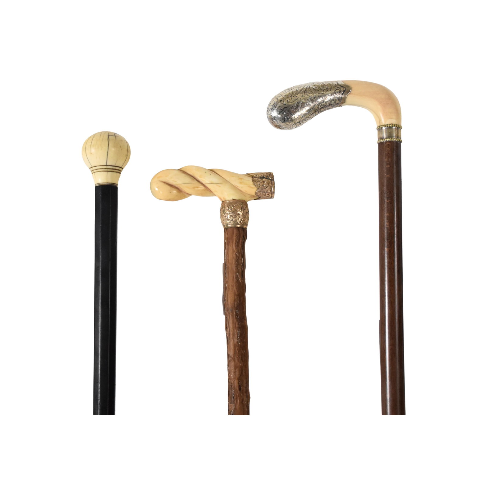 (3) Walking Sticks (1 of 3)