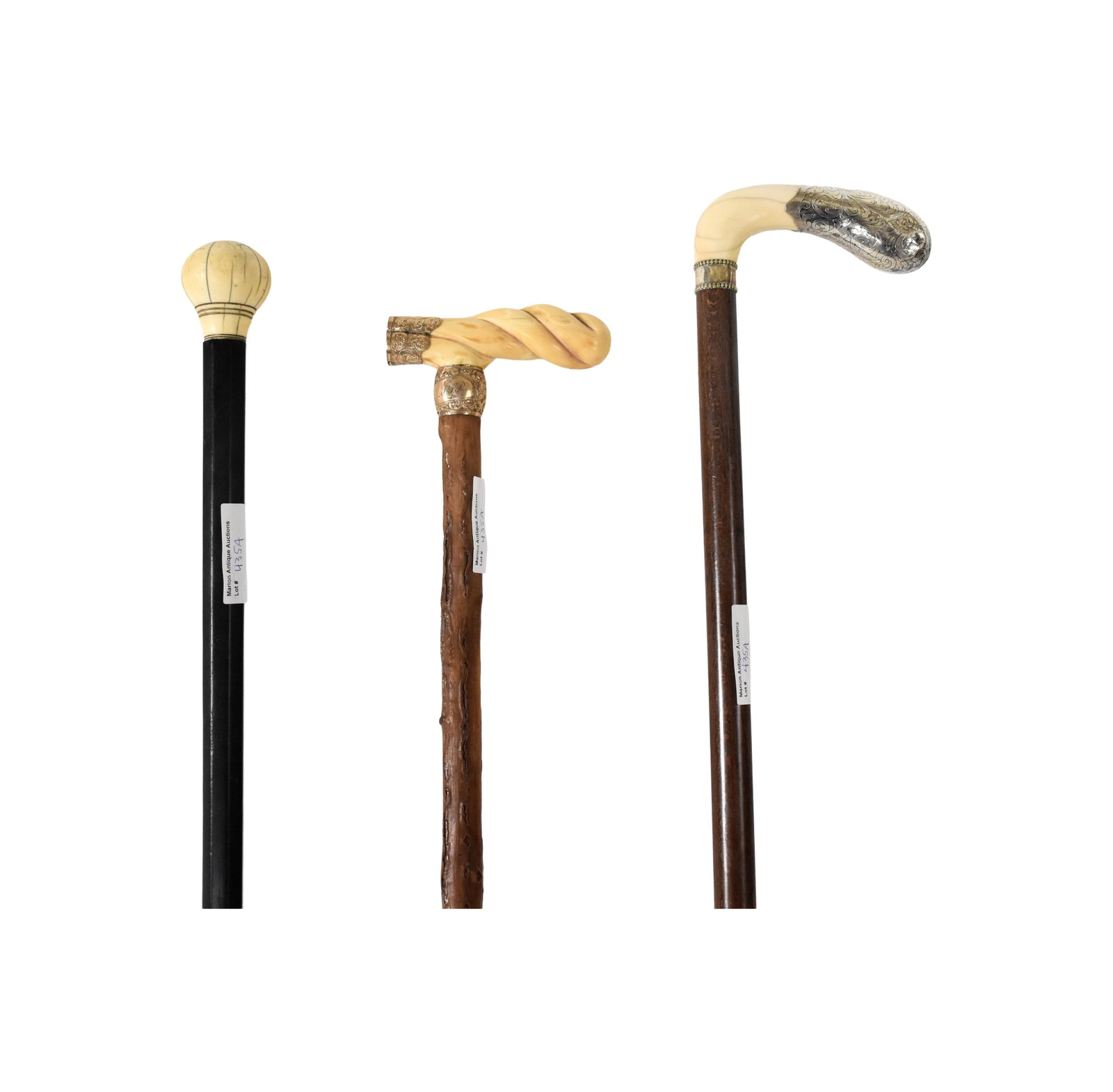 (3) Walking Sticks - 2