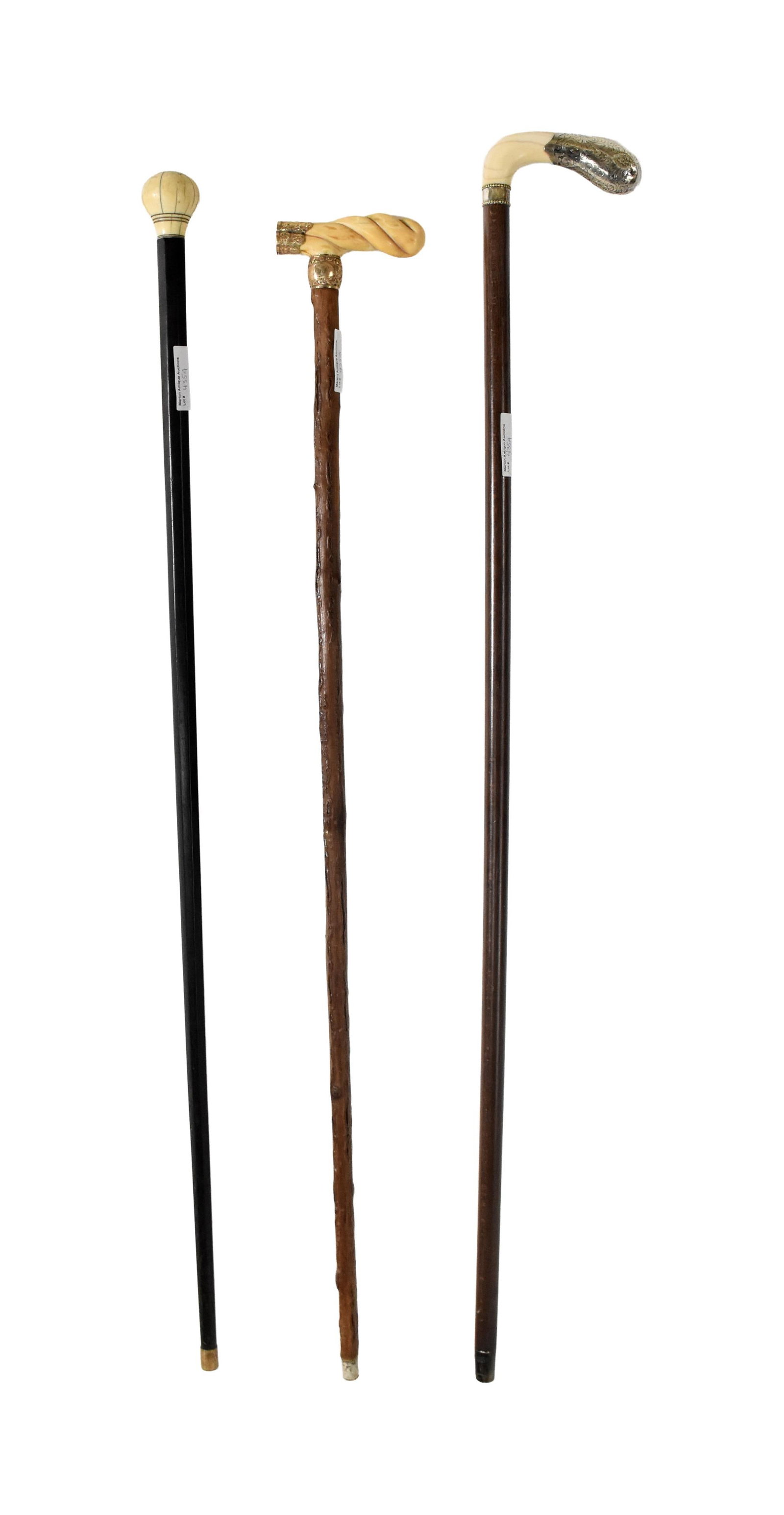 (3) Walking Sticks - 3
