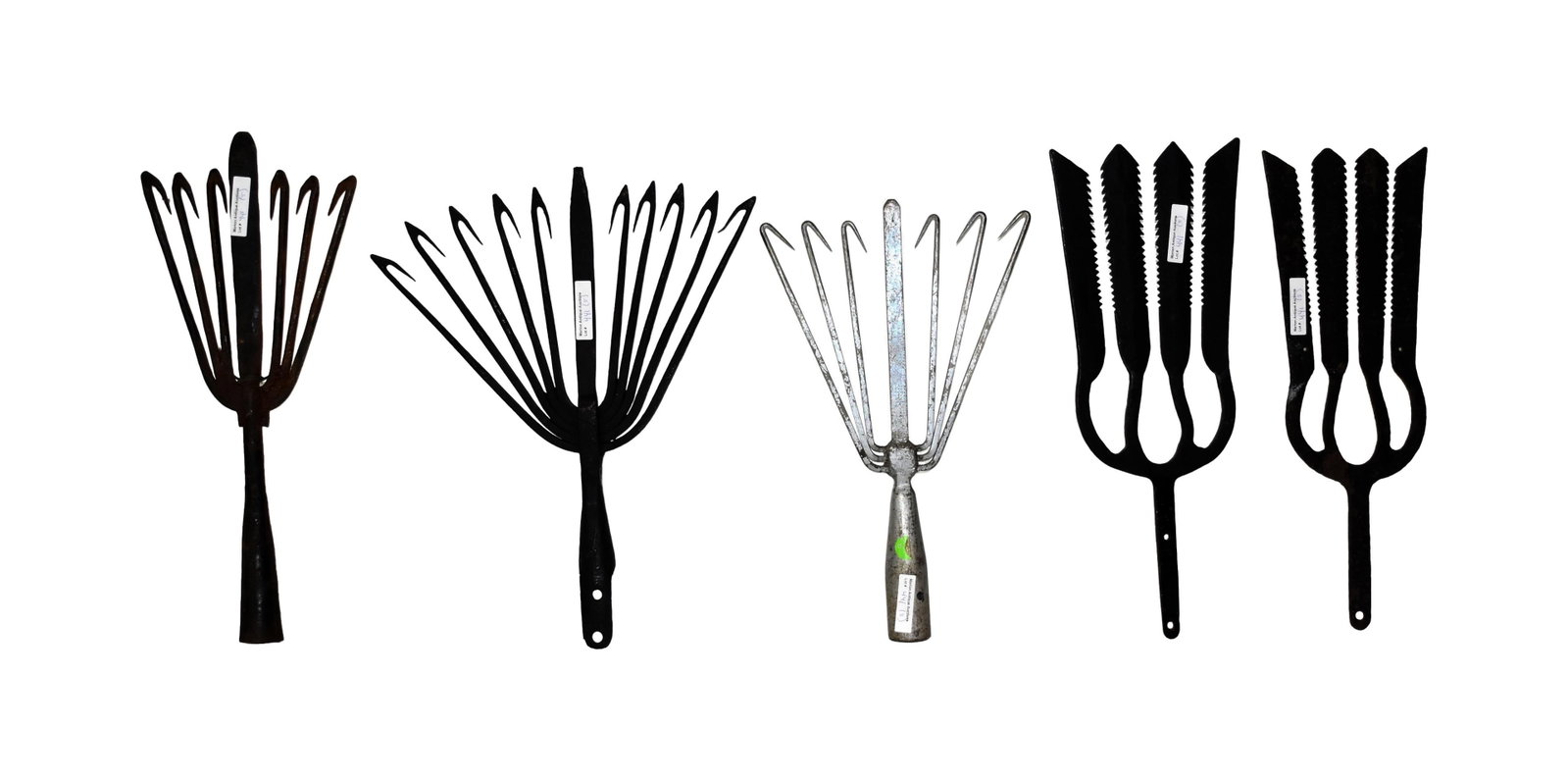 (5) Eel Spears - 2