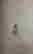 item-31441815=2