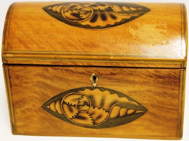 EARLY 19TH C INLAID FRUITWOOD TEA CADDY, DOME TOP: WITH CONCH SHELL ON TOP AND FRONT, 5 1/4' HIGH, 7 1/4" WIDE, 4 1/4" DEEP.