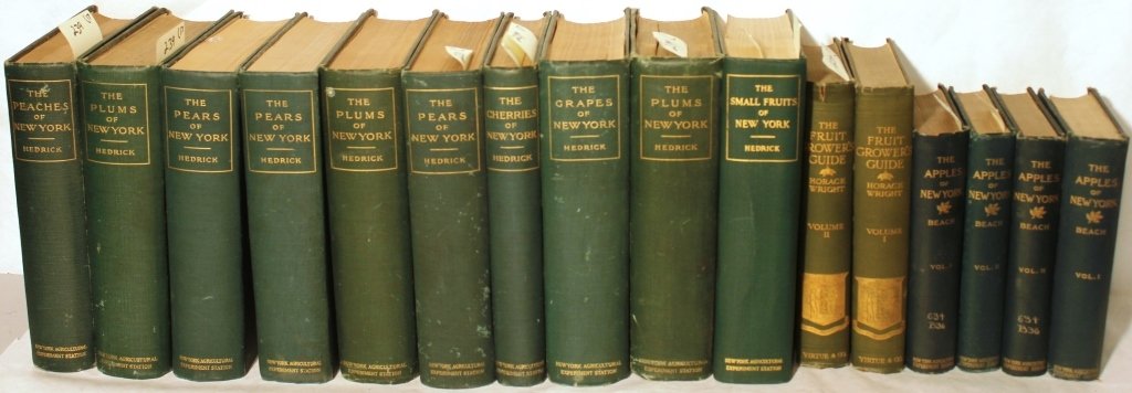 16 HARD BOUND BOOKS TO INCLUDE 10 VOLUMES, 12" X (1 of 10)