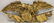 EARLY 20TH C CARVED AND GILDED WOODEN EAGLE FROM