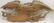 EARLY 20TH C CARVED AND GILDED WOODEN EAGLE FROM - 2