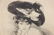 DRYPOINT ETCHING, HOLLEN, CA 1900, SIGNED IN - 4