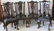 SET OF 8 CARVED MAHOGANY CHIPPENDALE STYLE DINING