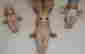 item-45459268=2
