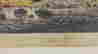 item-45459311=2