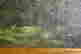 item-46004182=2