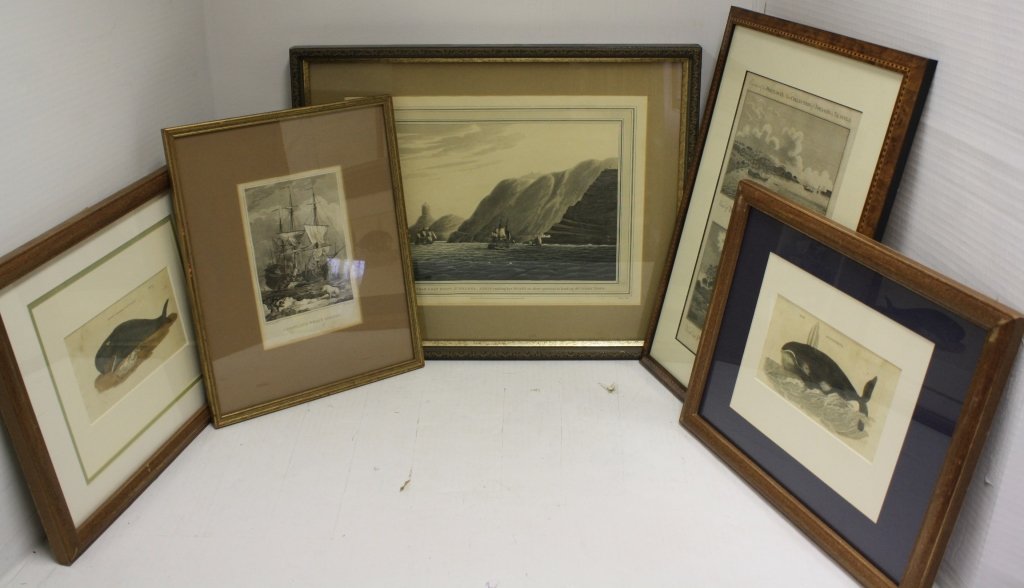 5 PRINTS RELATED TO WHALING. ALL ARE 19TH C TO: INCLUDE A COLORED ENGRAVING OF WHALE - BLUNT HEADED CACHALOT, SIGHT SIZE 4" X 7 1/2", WITH SMALL TEAR. A COLORED ENGRAVING MYSTICETE, SIGHT SIZE 4 1/2" X 7 1/2". ENGRAVING TITLED GREENLAND WHALE FISHE