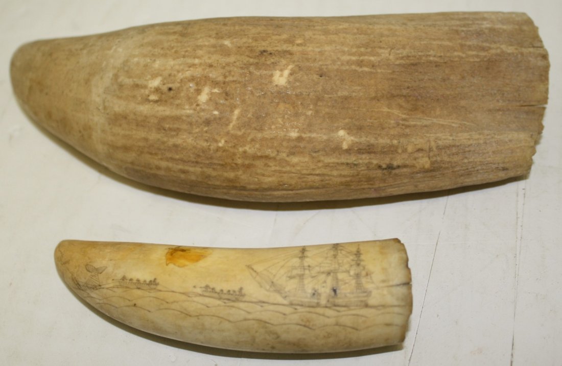 TWO 19TH C WHALES TEETH. ONE HAS SCRIMSHAW SCENE.: ONE IS 4" LONG AND WEIGHS 86.1 GRAMS. IT HAS SCRIMSHAW ON BOTH SIDES, ONE SIDE DEPICTS AN AMERICAN WHALESHIP AND A SCHOOL OF WHALES. THE OTHER SIDE IS DECORATED WITH A WHALESHIP, 2 WHALEBOATS WITH CRE