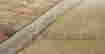 item-69451343=3