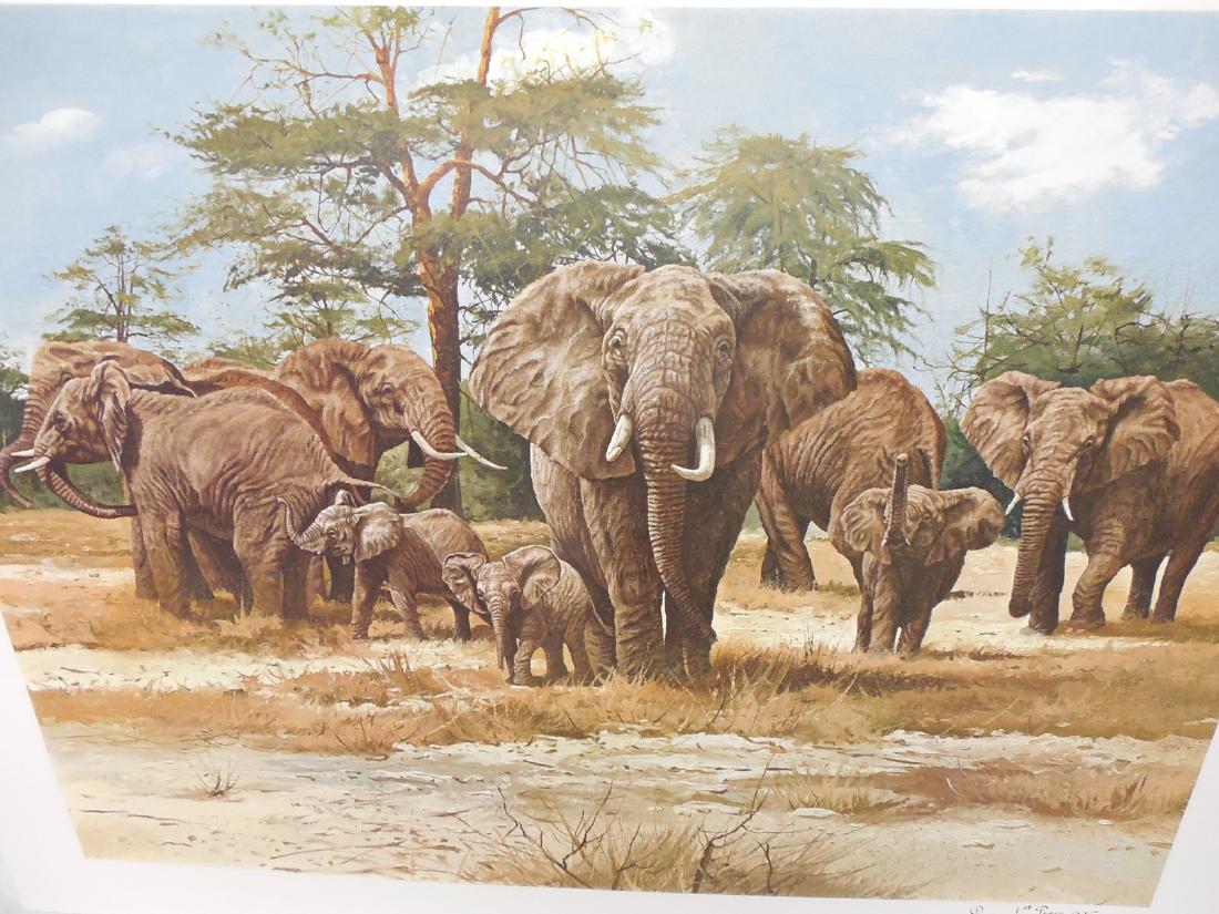 1st Press Print Collection Edmund A Loper Wild Life (1 of 10)