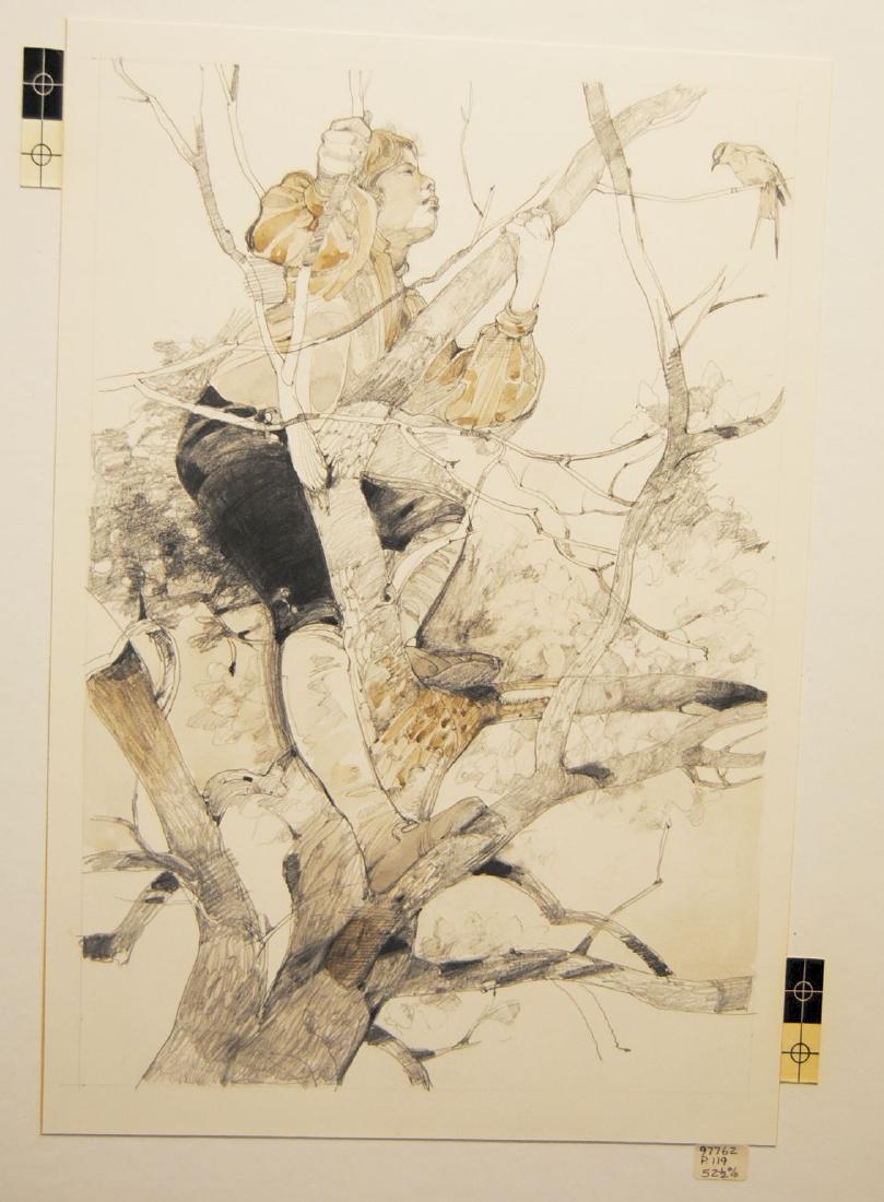 Jerry Pinkney Original Illustration Drawing Franklin (1 of 2)