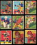 1935 National Chicle Football Lot (71) cards