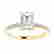 item-131717103=4