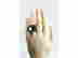 item-131930224=4