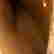 item-132075301=10
