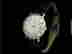 item-134127722=7