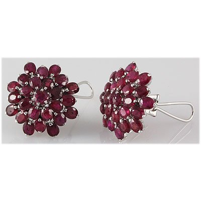 Ruby 30.00 ctw Flower Design Earring 0.925 Silver: Ruby 30.0 ctw Flower Design Oval Cut Earring 0.925 Silver **|**|** Mainstone: Ruby ; CTW: 30 ; Shape: Oval cut ; Gem Size: 6x4mm ; Metal / Purity: 0.925 Sterling Silver ; Grams: 11.23 ; MSRP: $300