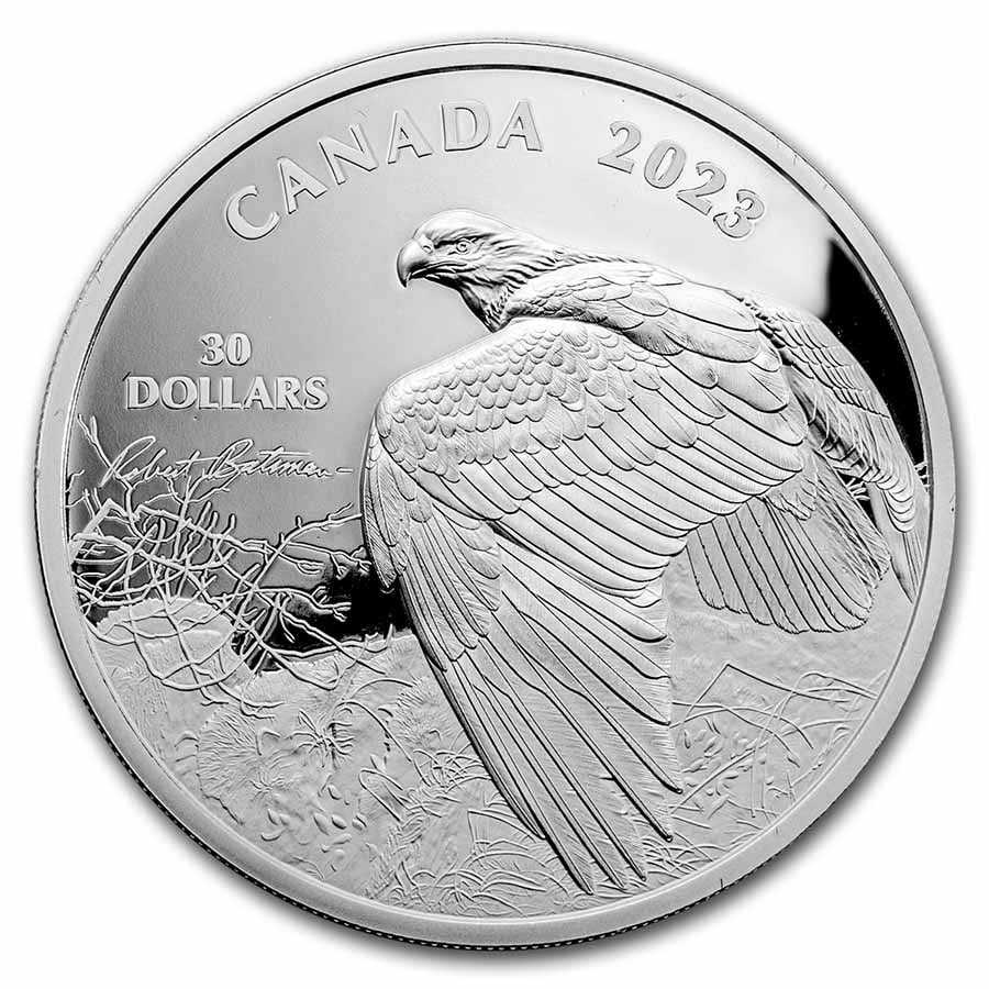 2023 RCM 2 oz Silver $30 Robert Bateman Vantage Point Bald Eagle: 2023 RCM 2 oz Silver $30 Robert Bateman Vantage Point Bald Eagle Product ID: 271304 Year: 2023 Grade: Proof Grade Service: None Denomination: 30 Dollars Mint Mark: RCM (Not Shown) Metal C