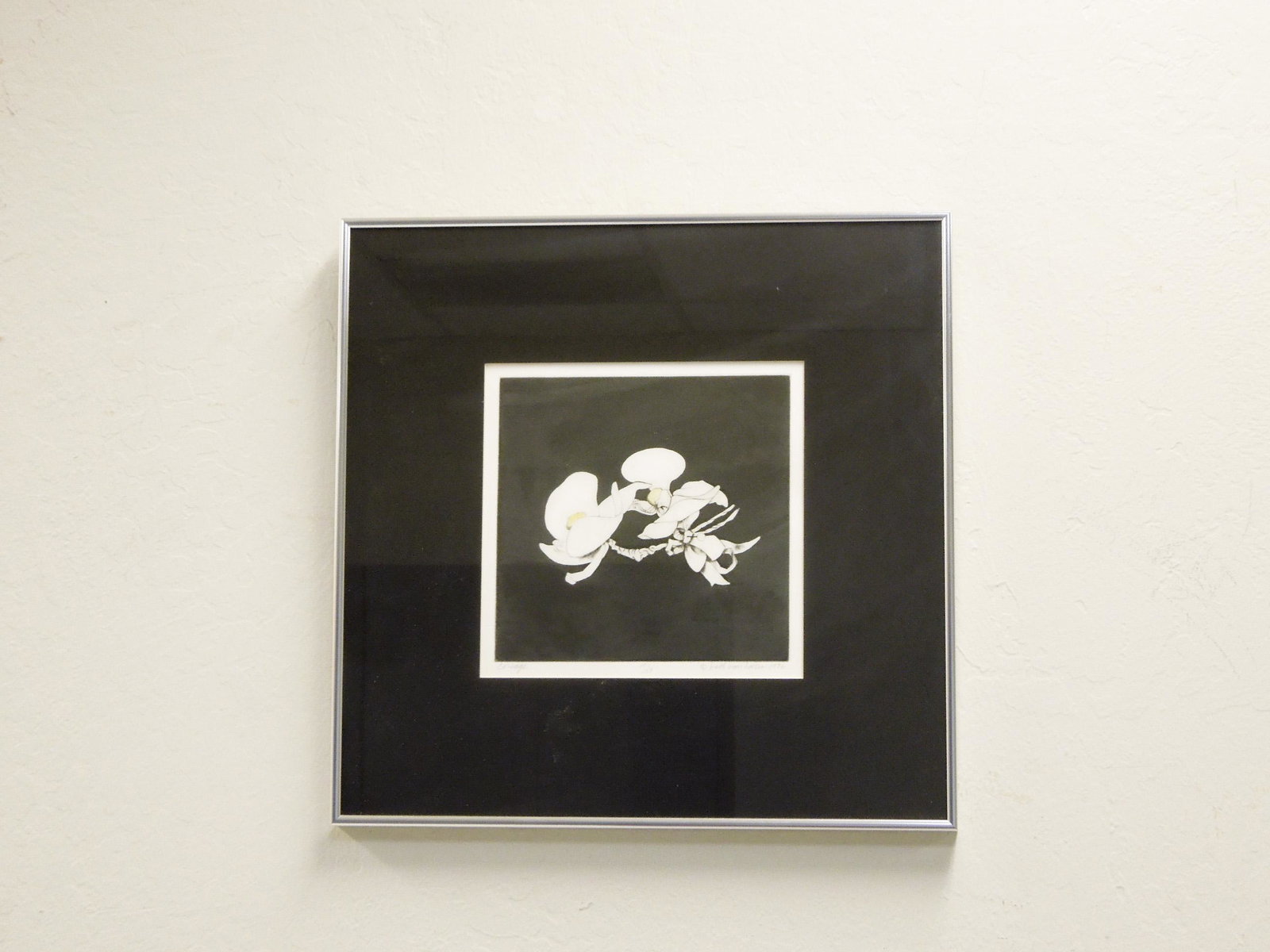 Beth Van Hoesen Drypoint Etching.: Beth Van Hoesen (1926 - 2010), Drypoint etching on paper, "Corsage". Black and white with yellow accents. #17/50. Signed lower right. (7 3/4" x 8"). Framed, under plexiglas. Overall: 17" x 17".