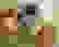 item-17311808=2