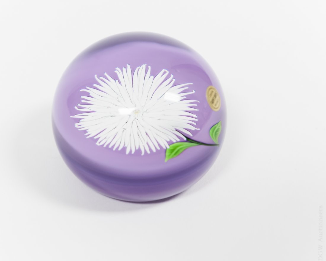 Cristal Saint-Louis Art Glass Paperweight: Cristal Saint-Louis art glass paperweight. Lavender base with a white chrysanthemum in center. Marked SL 1975. (Approx. 2 1/2" x 2 1/2"). From the Collection of Eric Sinizer and the Light Opera Galler