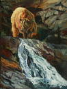 Above the Falls ~ Terry Lee