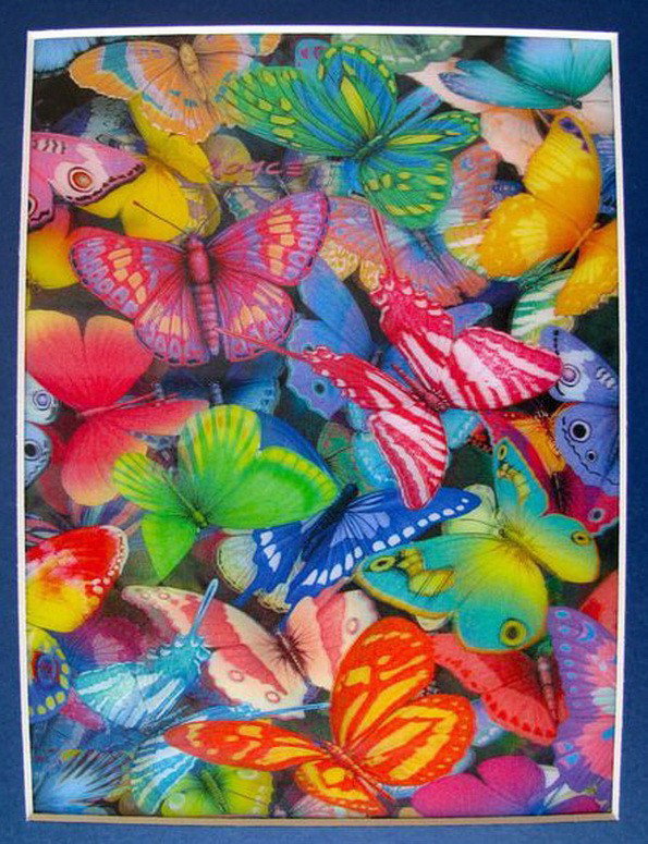 BUTTERFLIES AMAZING LENTICULAR 3-D HOLOGRAM ART PIC: 3-D Lenticular Hologram Art Picture Of BUTTERFLIES By Royce. This Picture Can Not Capture The Spectacular 3-D Effect Of These. It Pops Right Out At You And There Is So Much Depth. This Piece Was Produ