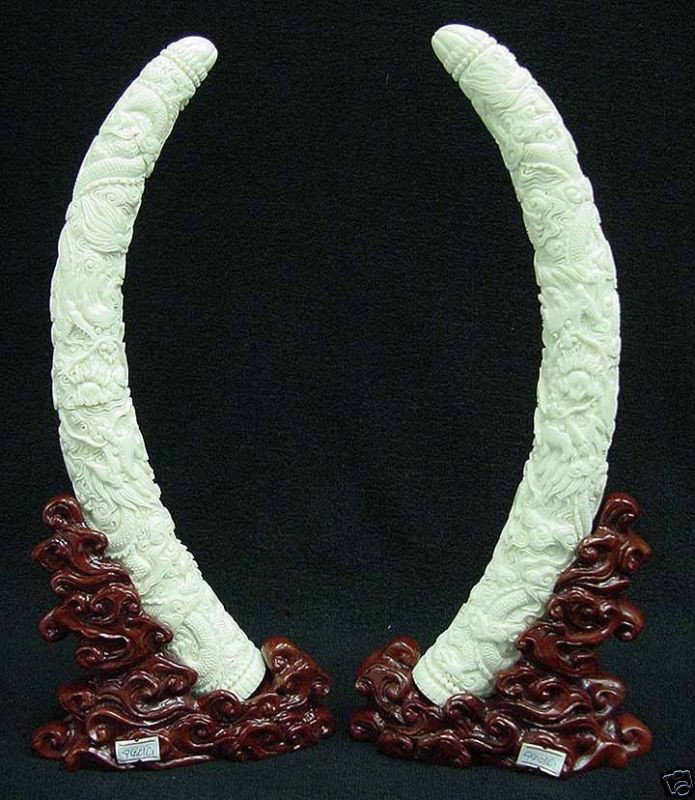 PAIR OF BONE DRAGON TUSK: PAIR OF BONE DRAGON TUSK - Long: 6", Wide: 3", High: 12" - Beautiful Artwork Is Made From Bone. Dragons Are Carved On The Surface. It Is Joint Together. All Natural And All Hand Carved From High Quali